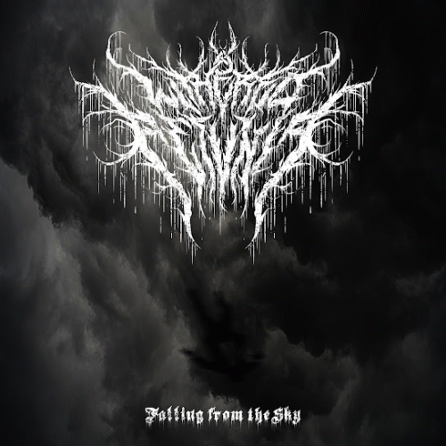 Falling from the Sky